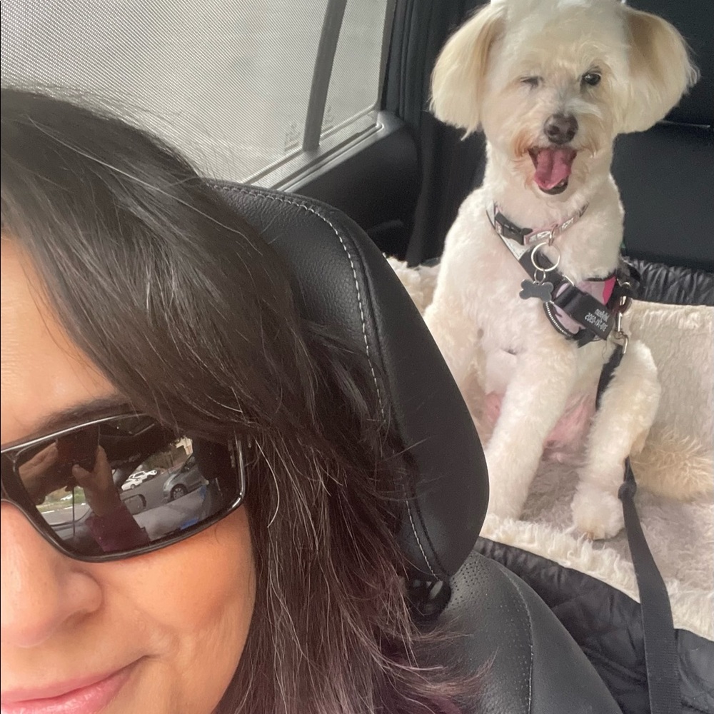 Meet your Posher, Mary